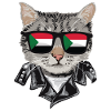 Cat Sudan Flag Sunglasses