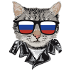 Cat Russia Flag Sunglasses