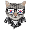 Cat-Sonnenbrille Mit Südkorea-Flagge