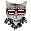 Cats Thailand Flag Sunglasses