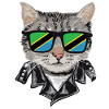 Cat Tanzania Flag Sunglasses