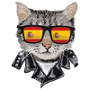 Sonnenbrille Spanien Flagge