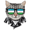 Cat Sunglasses With Uzbekistan Flag