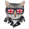 Cats Great Britain Flag Sunglasses