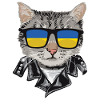 Cat sunglasses with Ukraine flag