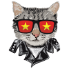 Cats -Vietnam -Flag Sunglasses