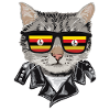Cats Uganda Flag Sunglasses