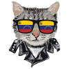 Cat Venezuela Flag Sunglasses