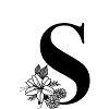 Lettre S