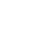Wesseling coordinates