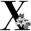 Letter X