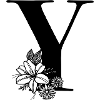Lettre Y