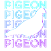 Pigeon Retro