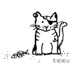 Mimosarella Kater
