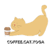 coffee and yoga lover cat