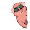 Pig Lover Gift Farm Pig