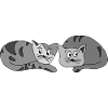 Chats