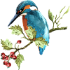 Bunter Vogel