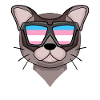 Transgender Transsexual Burma Cat Gift
