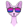 Bisexual Sphynx Cat Gift