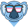 Transgender Transsexual Koala Gift