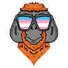 Transgender Transsexual Urangutan Gift