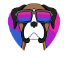 Bisexual German Boxer Dog Gift