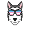 Transgender Transsexual Siberian Husky Dog