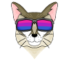 Cadeau bisexuel Singapura Cat