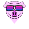Bisexual Pig Gift