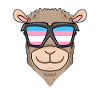 Transgender Transsexual Alpaca Gift