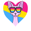 Pansexual Sphynx Cat Cadeau
