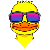 Bisexual Duck Bisexuality Gift