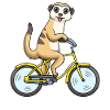 Suricates Cyclisme Surikat Vélo Vélo