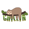 Sloth Chillin