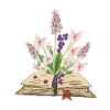 Wild Flowers - Herbs