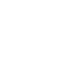 Raccoons Intelligent Person Gift