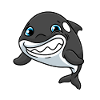 Schwertwal Orca Delfin Killerwal