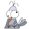 Möwe Xiao verwirrt