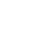 Gitarre Evolution