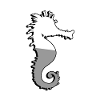 Hippocampe - Illustration