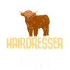 Scottish Highland Cattle Cow