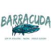 Barracuda Fish Deep Sea Fishing