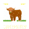Vache bovine écossaise des Highlands