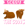 Scottish Highland Cattle Cow