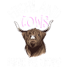 Scottish Highland Cattle Cow