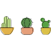 Cactus Family