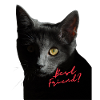 T-Shirt für Katze Lieber