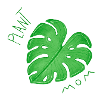 monstera plantmom