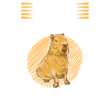 Jeg kan godt lide Capybaras sydamerikanske Capybara